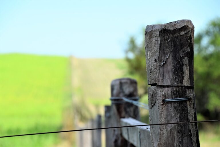 prazo de georreferenciamento