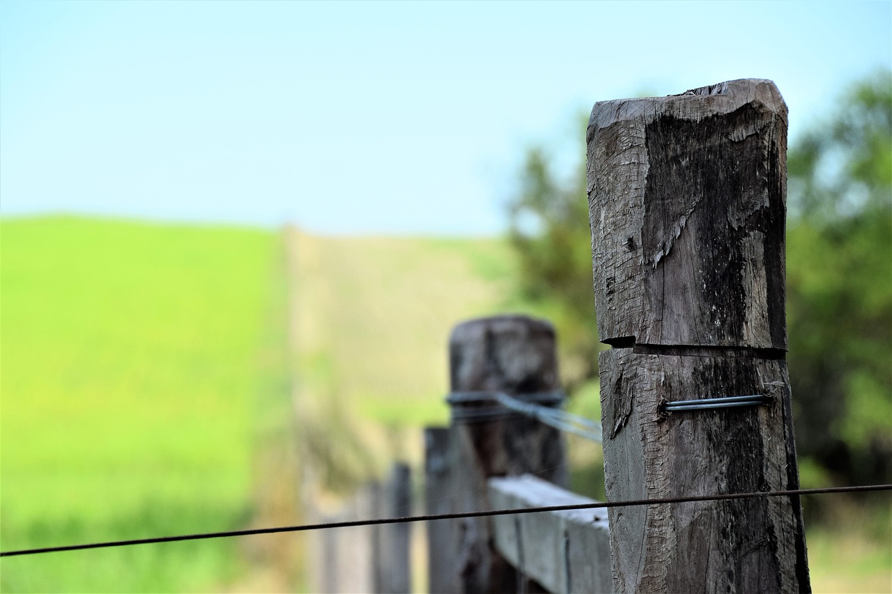 Como fica o prazo de georreferenciamento em 2025 e 2030