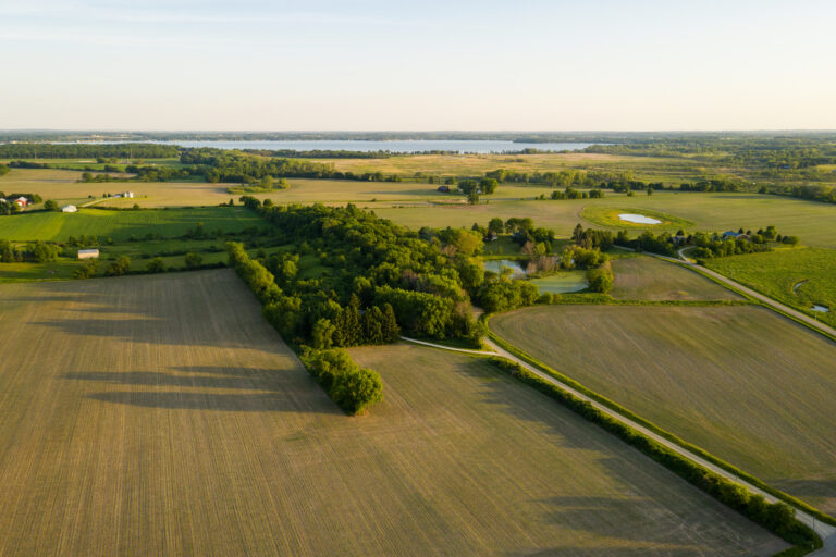 áreas não tituladas
