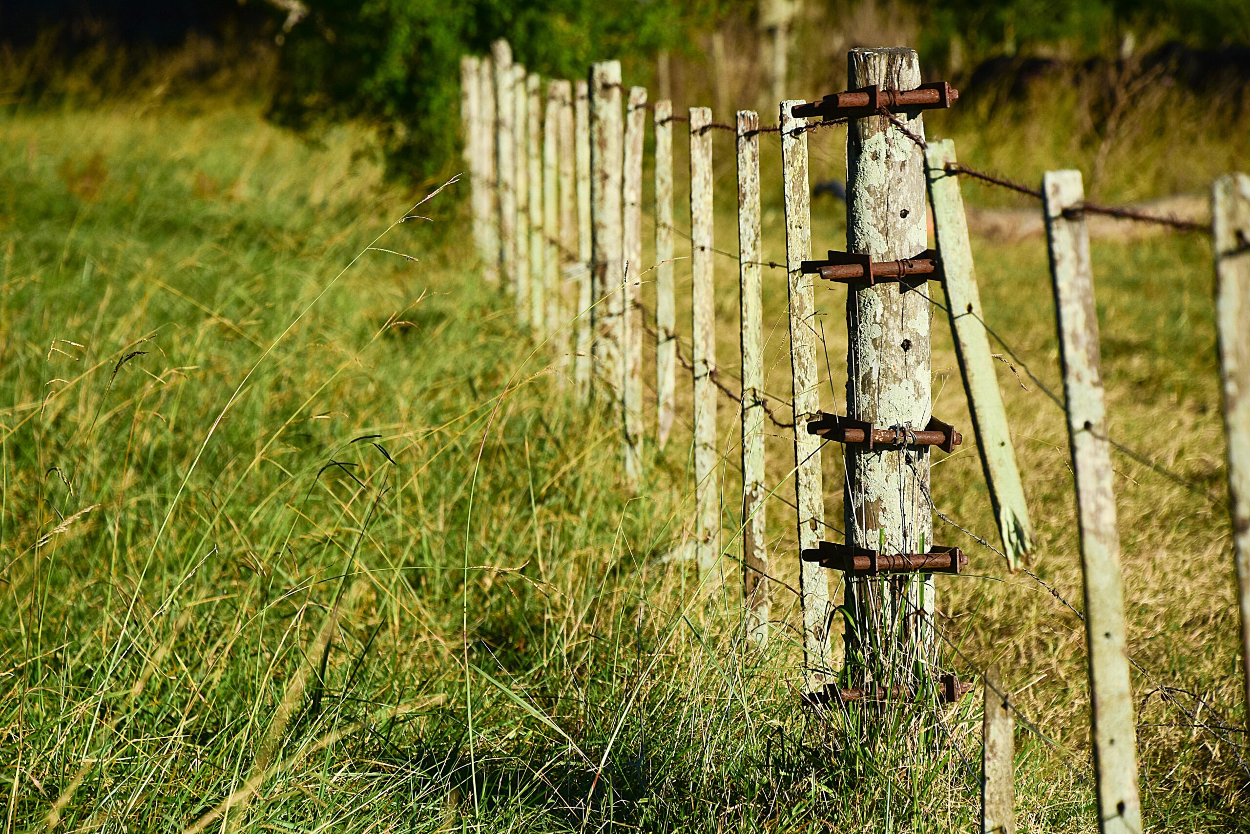 Como ficará a exigência para imóveis menores que 25 hectares