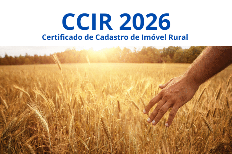 ccir-2026