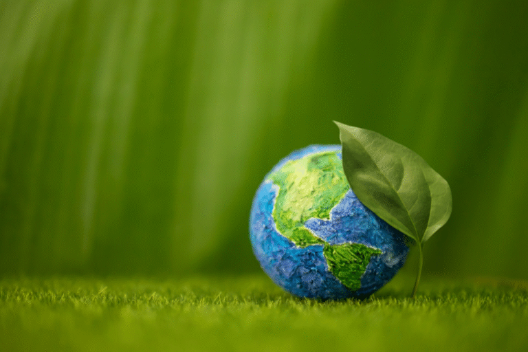 Licenciamento Ambiental