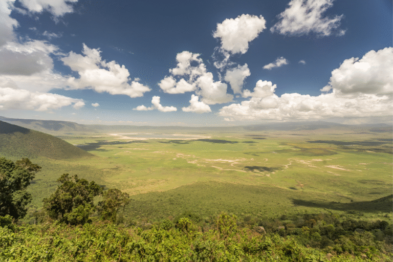 Regularização Fundiária de Unidades de Conservação Federais
