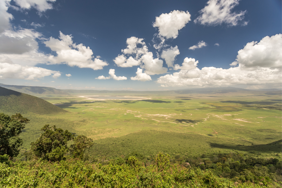Cartilha de Regularização Fundiária de Unidades de Conservação Federais