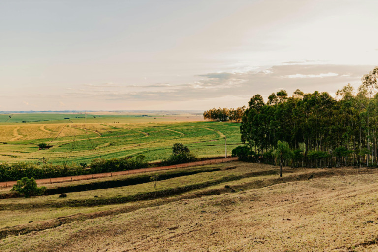 O que é CCIR e quando ele é obrigatório