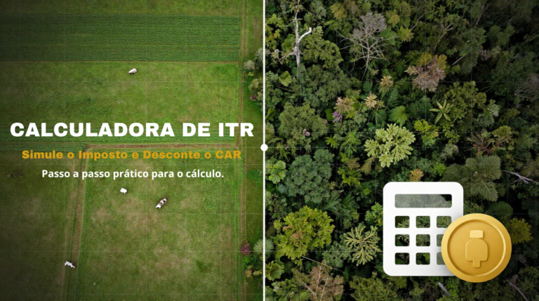 CALCULADORA DE ITR